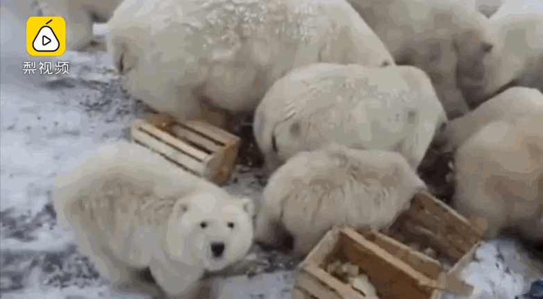传了两年之后，雪佛兰真的退出中国市场了