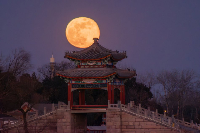 王小丫