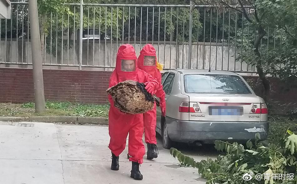 江惠仪
