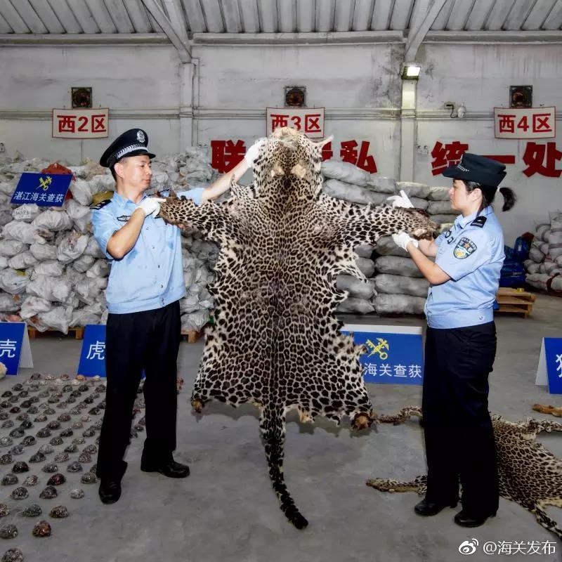 白海豚已减弱为热带风暴