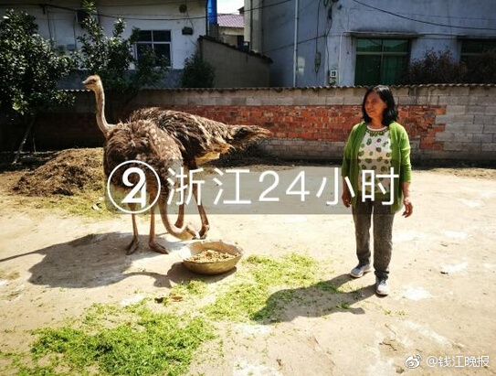 网友晒出清华大学宿舍环境