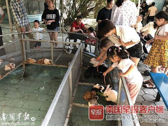 热刺领先降级区1分，面临保级压力