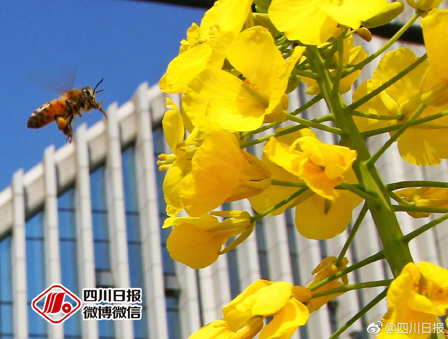 湖南裕能：公司自取得磷矿采矿许可证以来，有序推进矿山建设，目前整体进展较为顺利