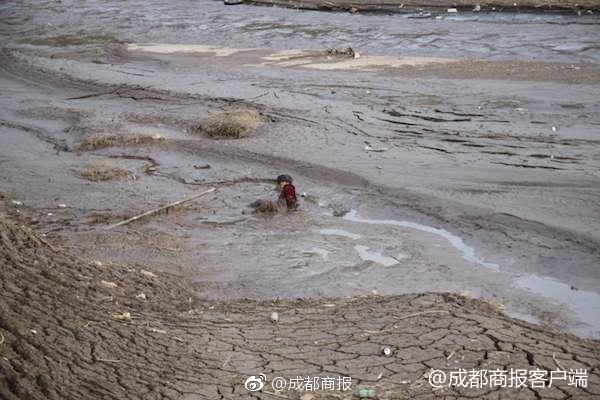 赵宇龙调任中国保险行业协会党委书记 已到任履职
