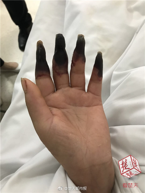 狼:我已经进化成狗了!