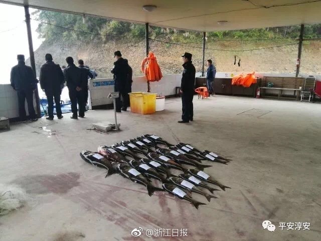 消息称华为与东风猛士展开全面管理协同，猛士品牌总经理曹东杰卸任