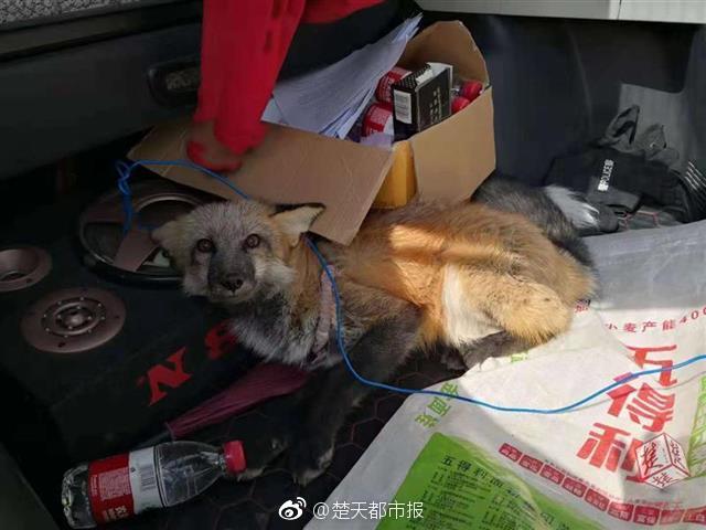 张宏民