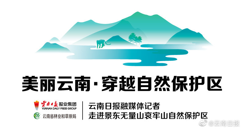 广西小苏要去河北见老丈人