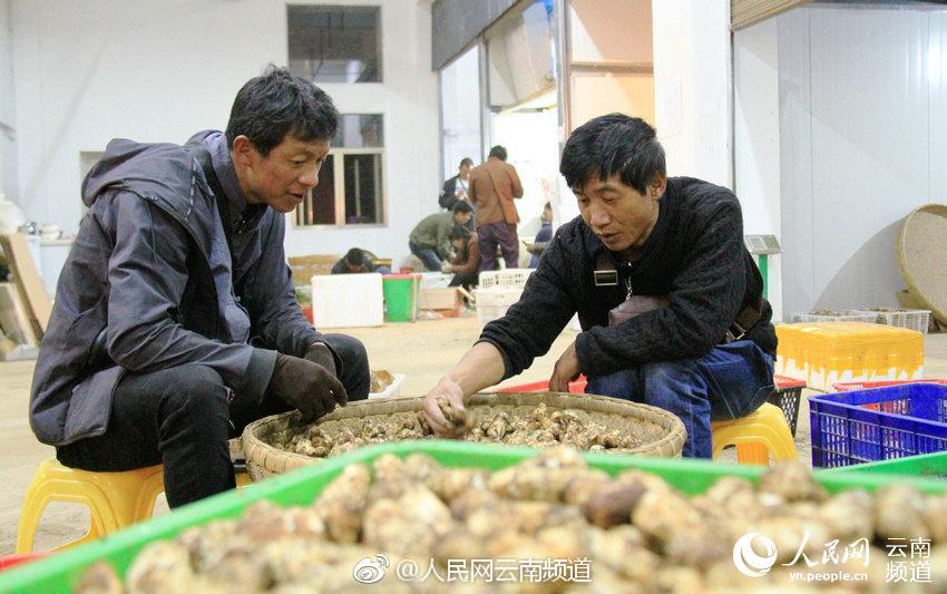 现在还有人用qq？