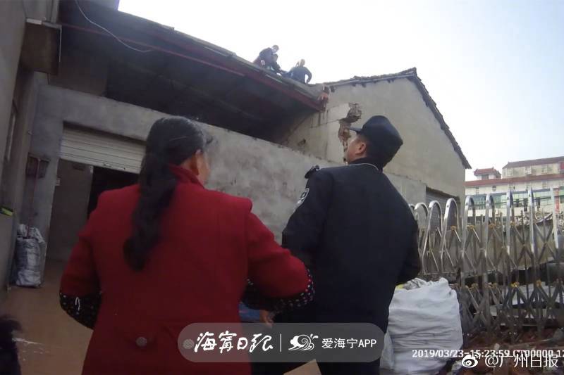 中德合作从共识到实施：iese商学院李超教授谈构建“抗压”运营体系的三大确定性
