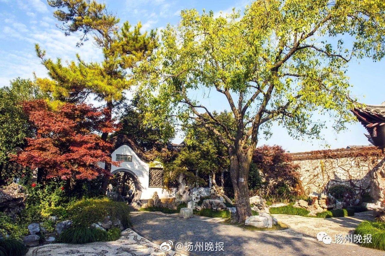 早春晴朗tracy演员被造型师讨薪