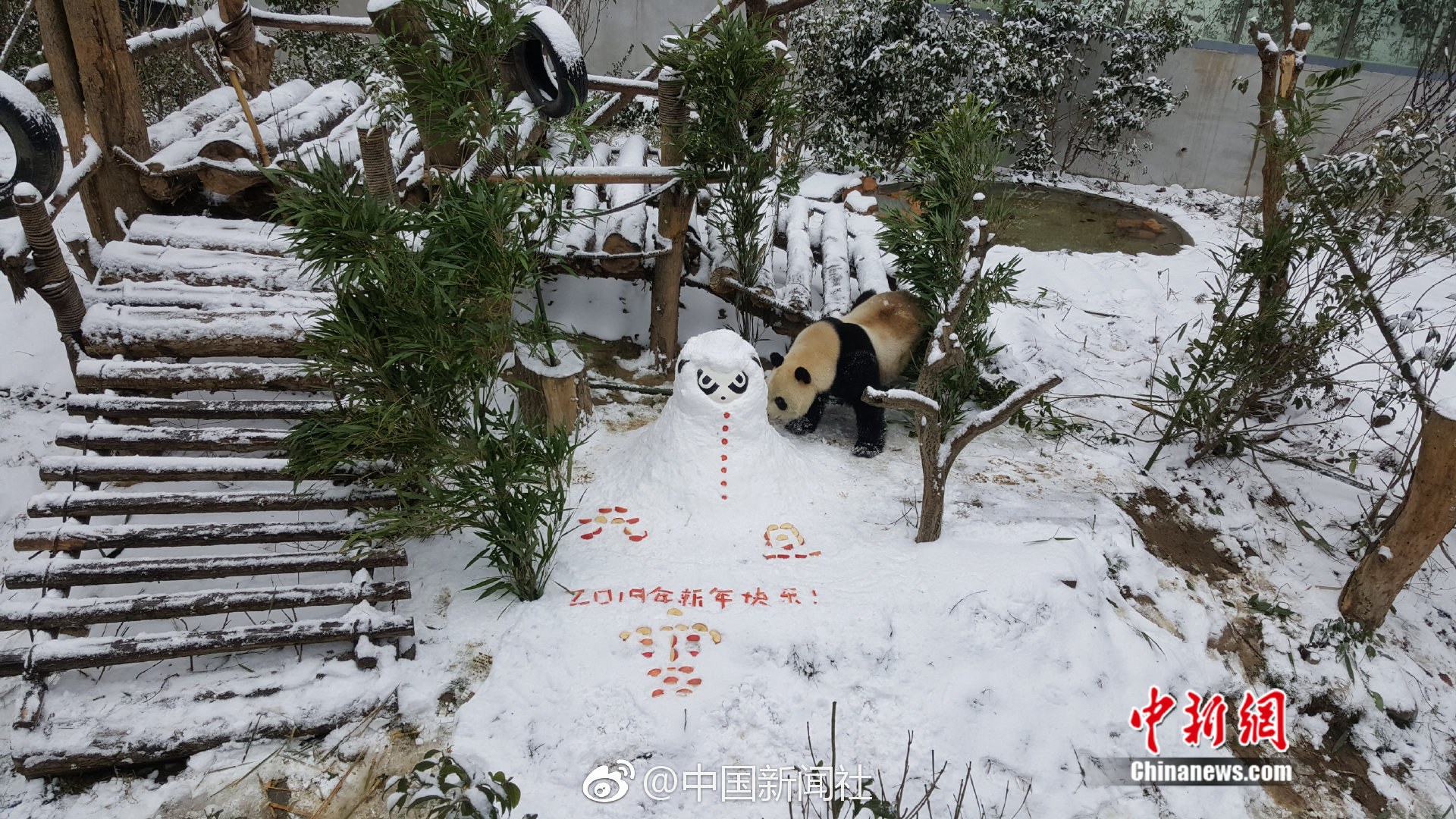 财经早报：国办发文！扩范围、清障碍，促进民间投资13条来了，新能源赛道，利好来了！丨2025年11月11日