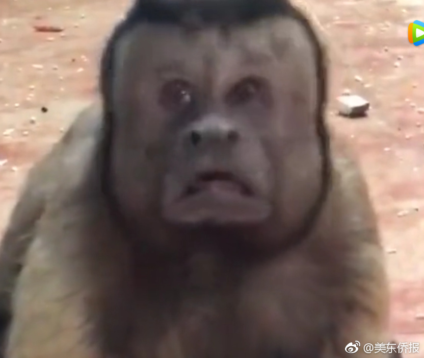 黄耀明