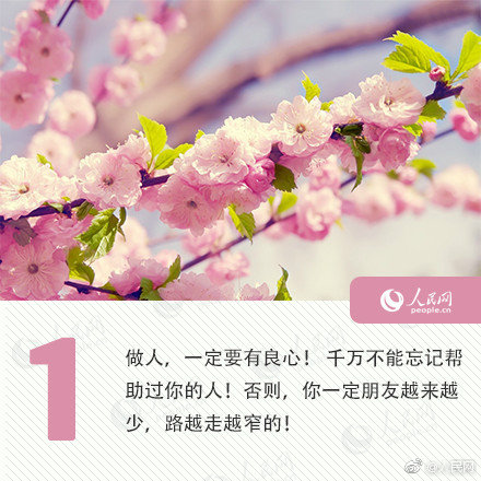 王志