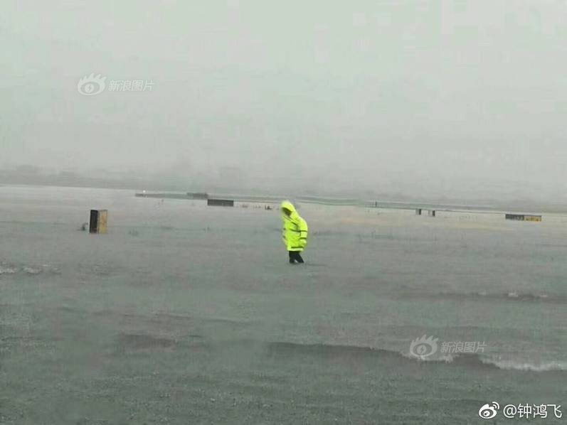 天马科技涨停,沪股通龙虎榜上净买入2646.18万元