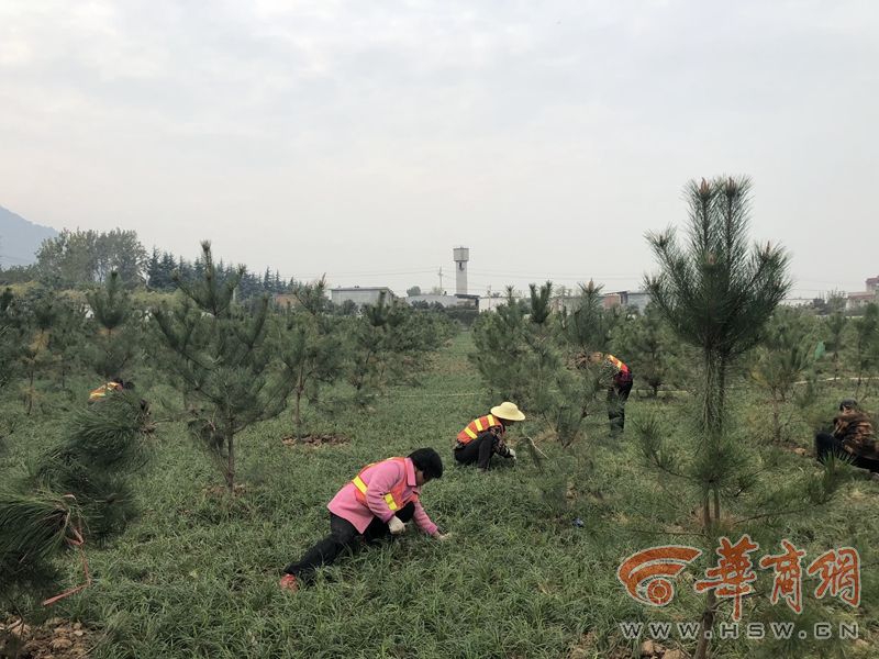 阿里也不想给外卖砸钱了
