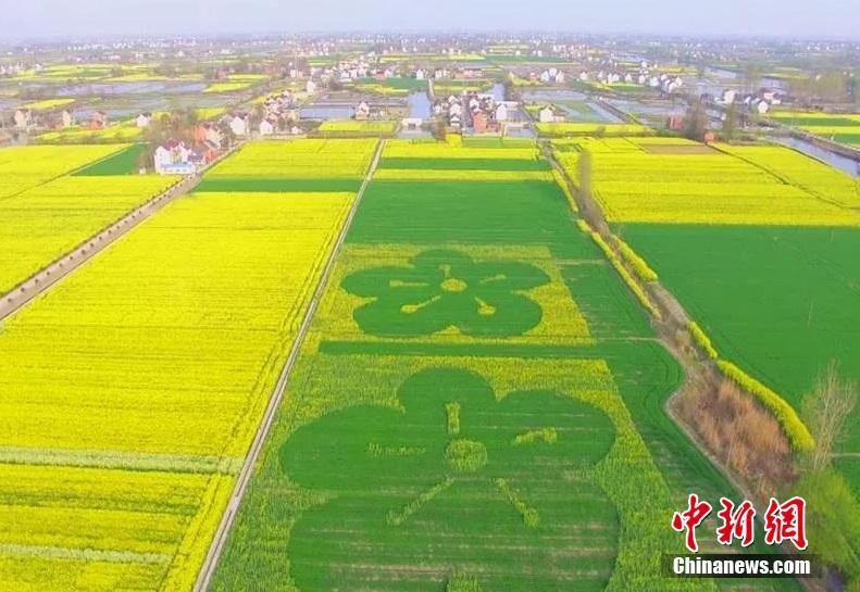 德国商业银行 ：若抗议活动持续 印尼盾可能继续承压