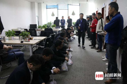 白海豚停止编号后危险性降低了吗