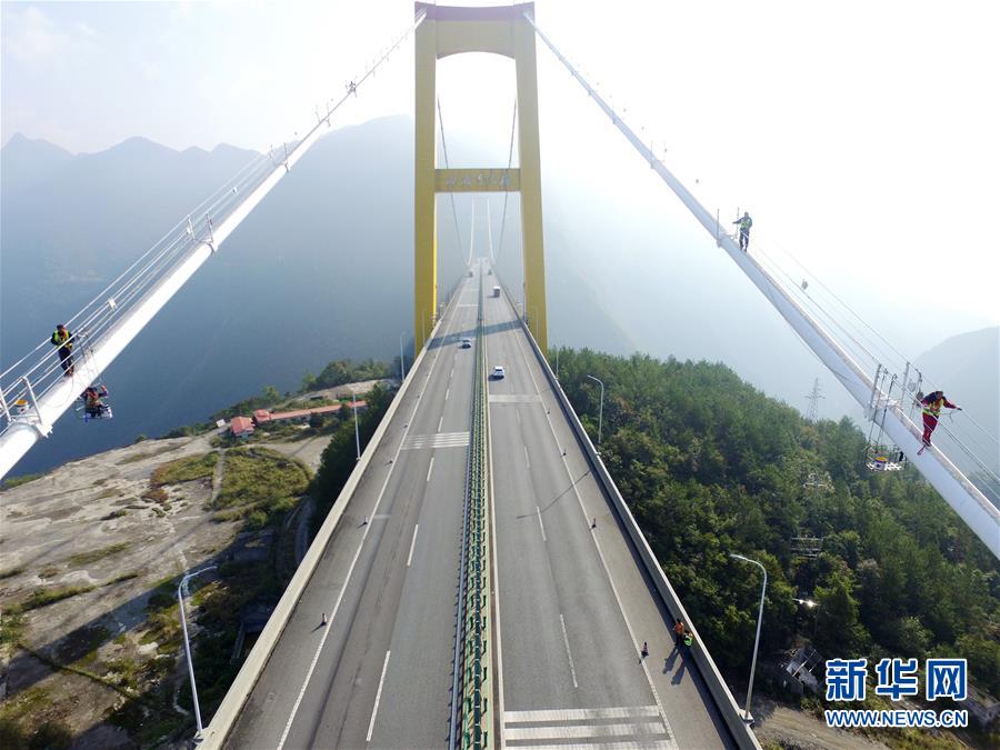 李洛渊
