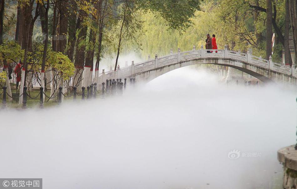电子科技大学教授罗蕾:开源是一个非常巨大的创新生产方式,能推动整个汽车行业向前发展