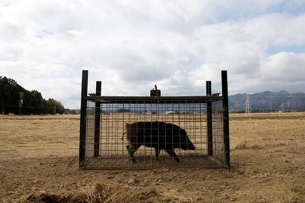 严格惩处非法占用耕地：两部门发布四起典型案例