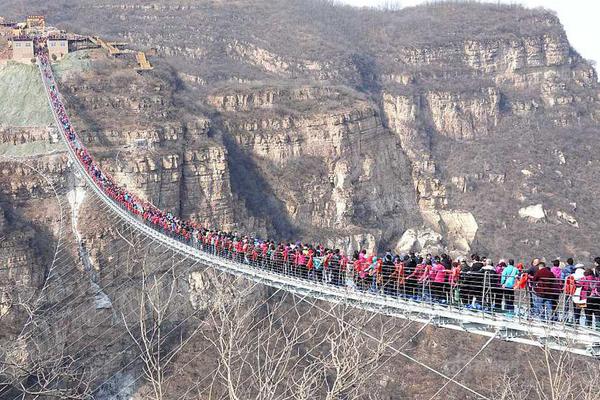 “赵露思合约风波”后，多方退出银河酷娱股东行列