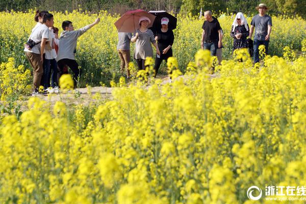 当ai遇上传统能源 上证能源指数近一年涨19.7%