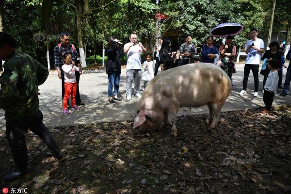 上海电气上半年净利润增长7.32% 新增订单总额近1100亿元