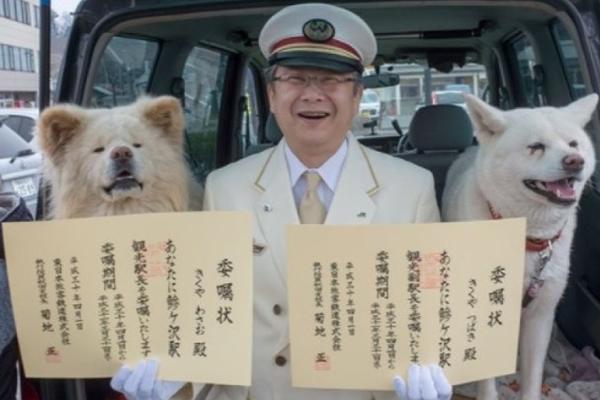 欣旺达，增聘「广发、华泰、汇丰、招商」为香港上市整体协调人