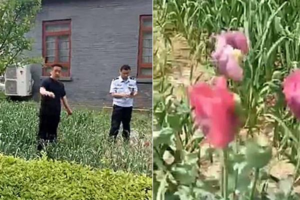 who：埃博拉相关邮轮发现8例病例，5例确诊