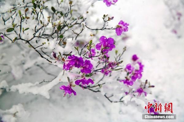 罗友志