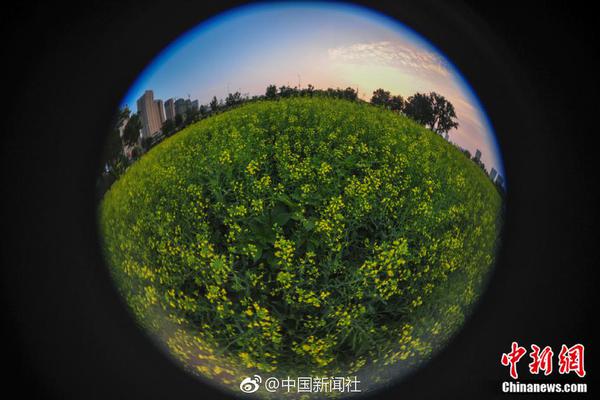国庆假期不能错过的事