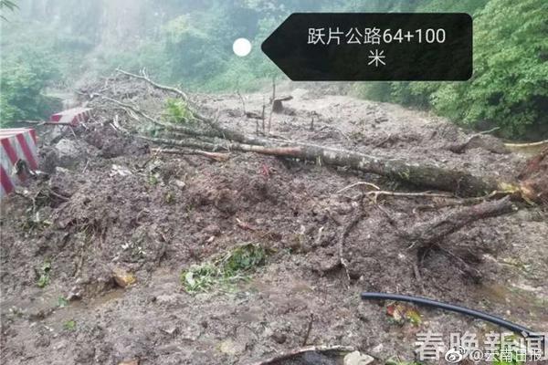 hezbollah呼吁政府采取行动并敦促以色列释放扣押人员