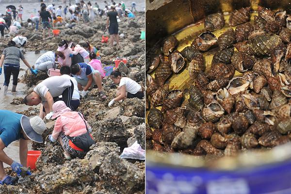 美国唯一反对联大地图决议