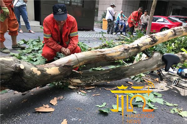 新华保险徽州旅居基地启幕 打造“生态 文化 康养”旅居新标杆