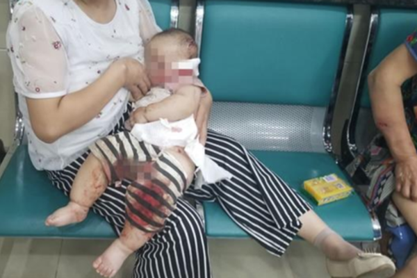 星穹铁道姬子启行上线