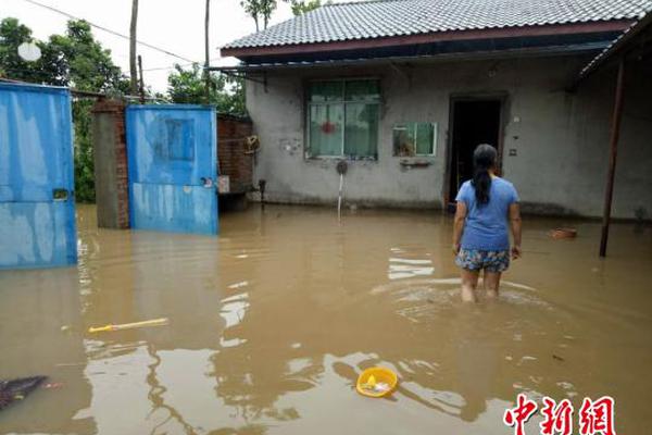 这个视频应该没有人模仿吧?#看一遍笑一遍