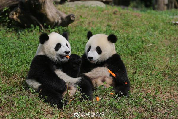 a股暴力反攻！科技、创新药集体狂飙，159363反弹超6%，港股通创新药etf创收盘新高！机构高呼“牛市有支撑”