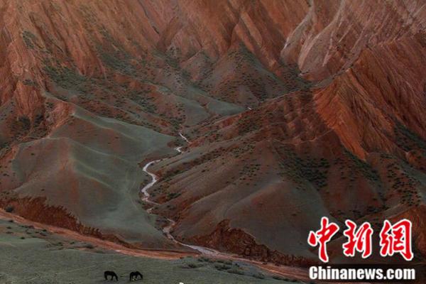何三畏