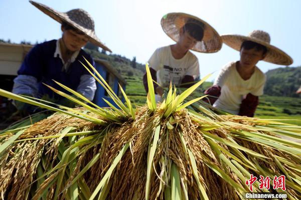 华尔街交易员大动作!大型科技股全线崩跌!发生了什么?