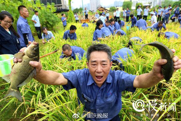 oexn:全球能源前景 油气价格与产量拐点