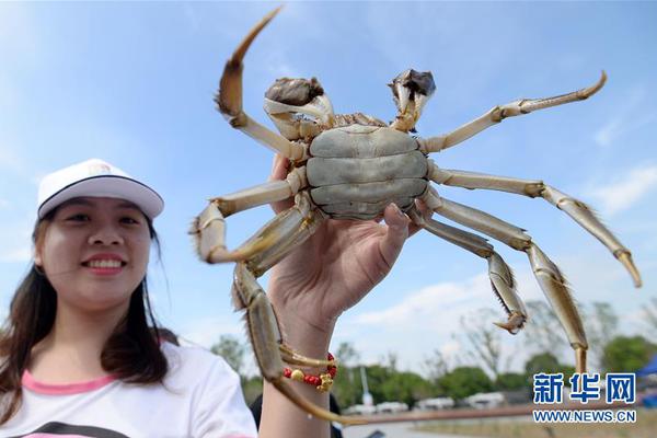 狂赚4260亿元！a股五大上市险企三季报告捷：投资大赚、银保大火、个险转型，哪个才是增长关键词？