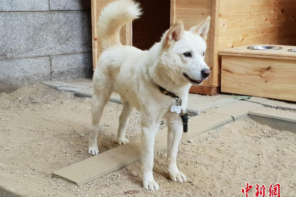 李怡