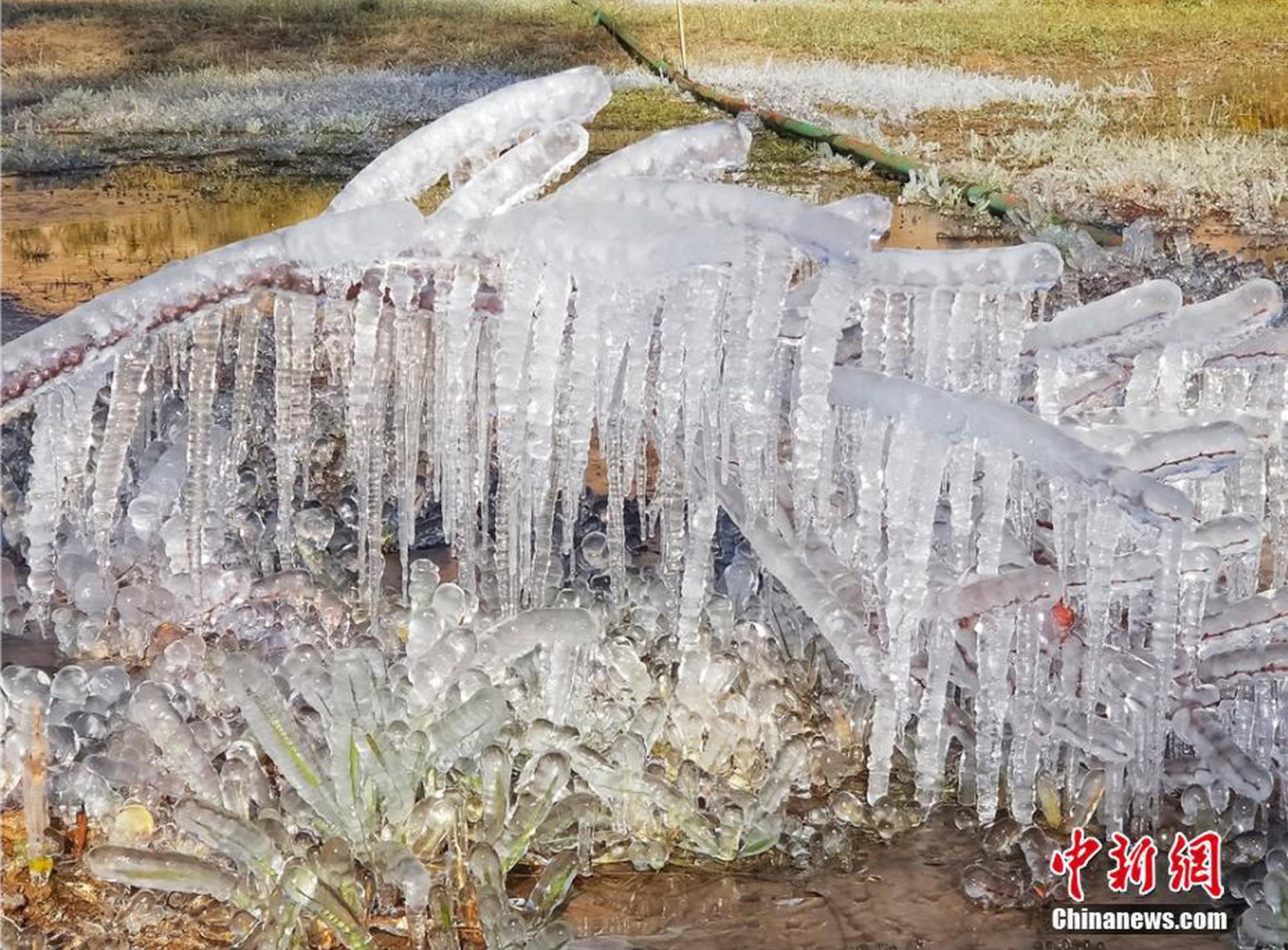 李慧玲