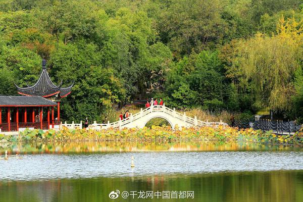 尽管所有企业都在疯狂养殖虾，但金融玩家为何仍保持适度谨慎？