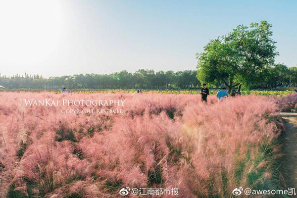 走近“八六”海战一等功臣戴寿怀
