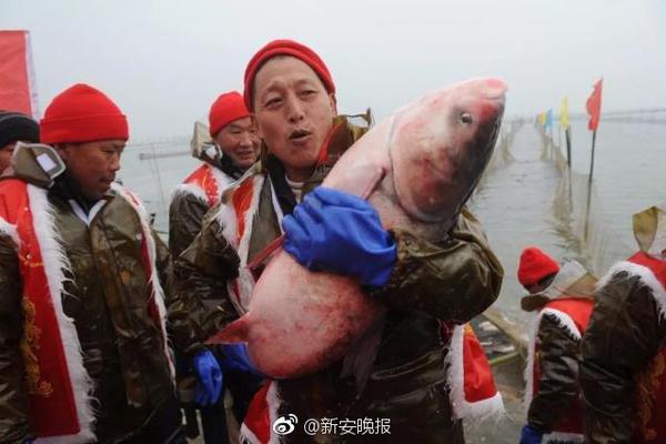 王志安