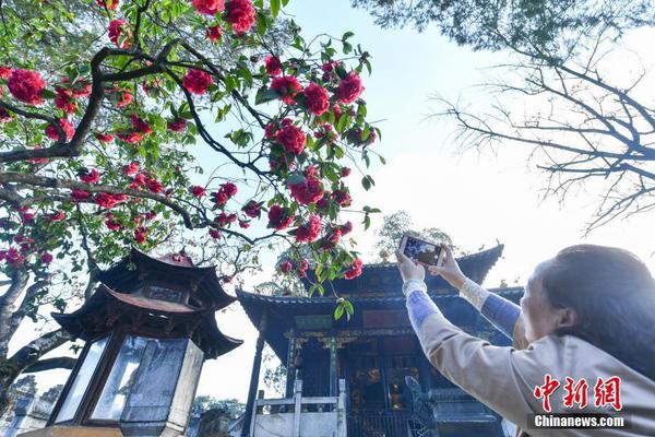 数据收集违规！71款移动应用被通知，包括故宫商店和丝芙兰