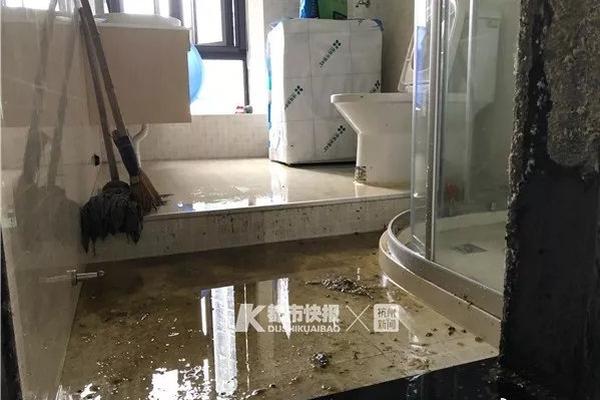 杰伦格林点赞喷火箭帖子