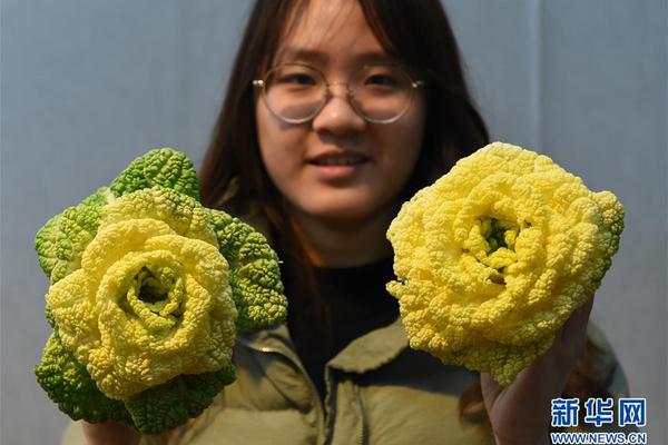 预算无上限！带员工在上海玩一天要花多少钱？